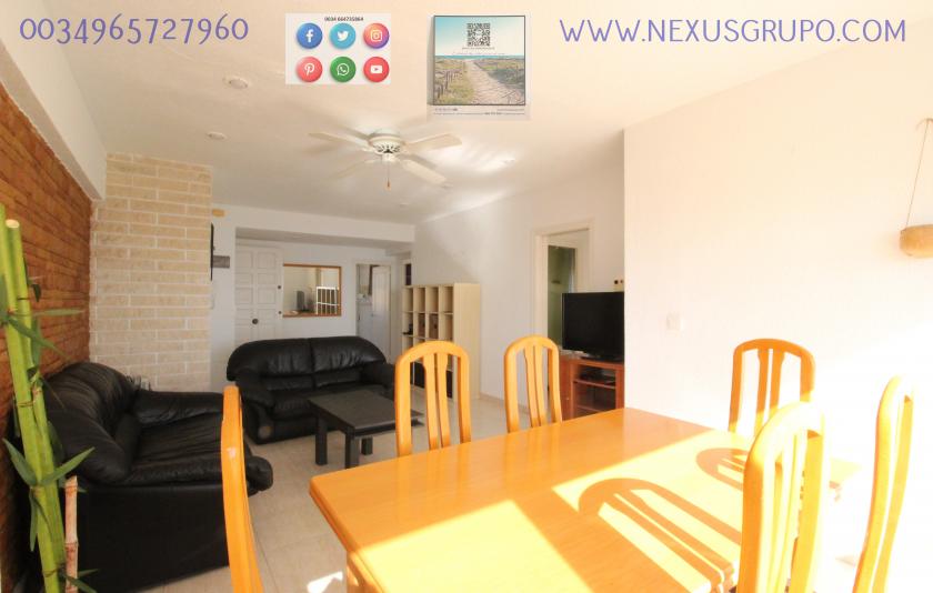 REAL ESTATE, GRUPO NEXUS, RENT APARTMENT FOR THE WHOLE YEAR, IN CERVANTES AVENUE, GUARDAMAR DEL SEGURA. in Nexus Grupo