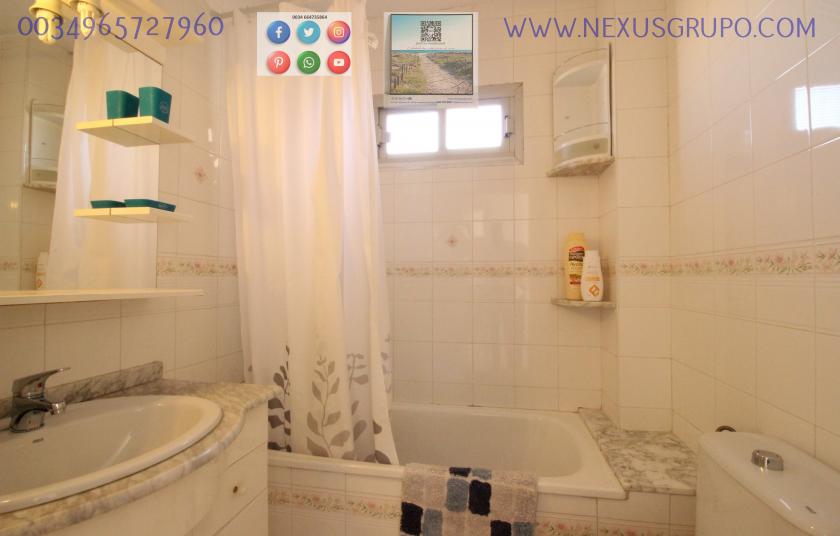 REAL ESTATE, GRUPO NEXUS, RENT APARTMENT FOR THE WHOLE YEAR, IN CERVANTES AVENUE, GUARDAMAR DEL SEGURA. in Nexus Grupo