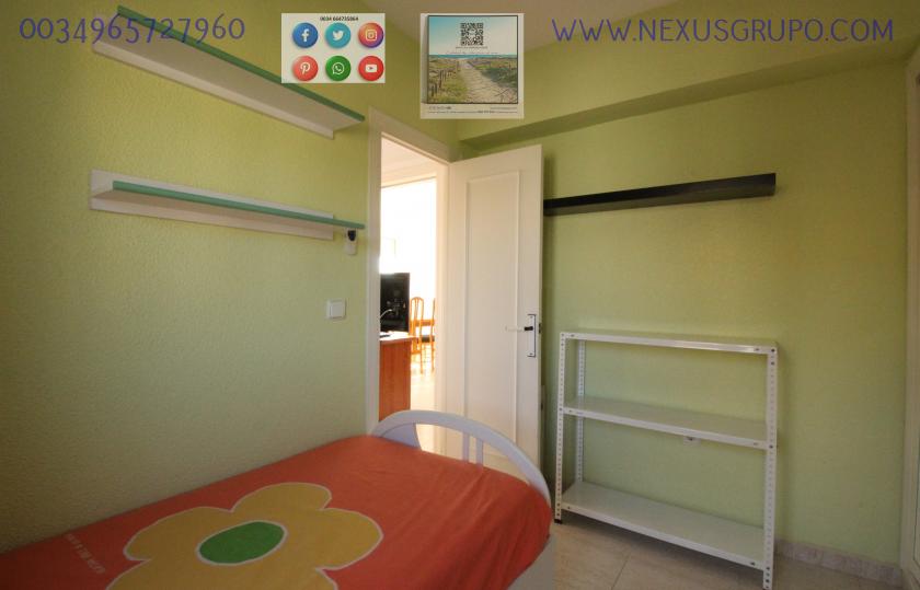 REAL ESTATE, GRUPO NEXUS, RENT APARTMENT FOR THE WHOLE YEAR, IN CERVANTES AVENUE, GUARDAMAR DEL SEGURA. in Nexus Grupo