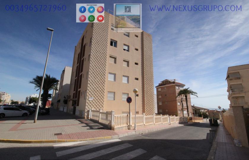 ONROEREND GOED, GRUPO NEXUS, HUUR APPARTEMENT VOOR HET HELE JAAR, IN CERVANTES AVENUE, GUARDAMAR DEL SEGURA. in Nexus Grupo