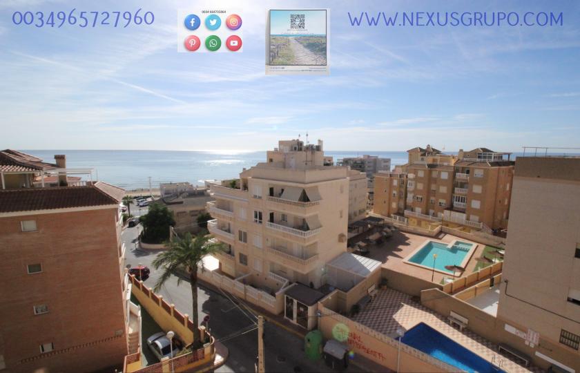 REAL ESTATE, GRUPO NEXUS, RENT APARTMENT FOR THE WHOLE YEAR, IN CERVANTES AVENUE, GUARDAMAR DEL SEGURA. in Nexus Grupo