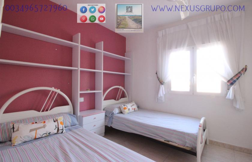 REAL ESTATE, GRUPO NEXUS, RENT APARTMENT FOR THE WHOLE YEAR, IN CERVANTES AVENUE, GUARDAMAR DEL SEGURA. in Nexus Grupo