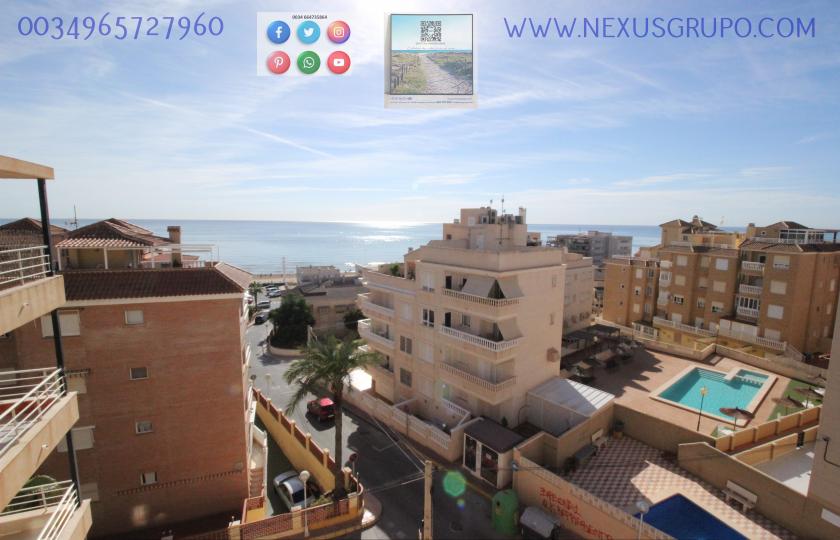 REAL ESTATE, GRUPO NEXUS, RENT APARTMENT FOR THE WHOLE YEAR, IN CERVANTES AVENUE, GUARDAMAR DEL SEGURA. in Nexus Grupo