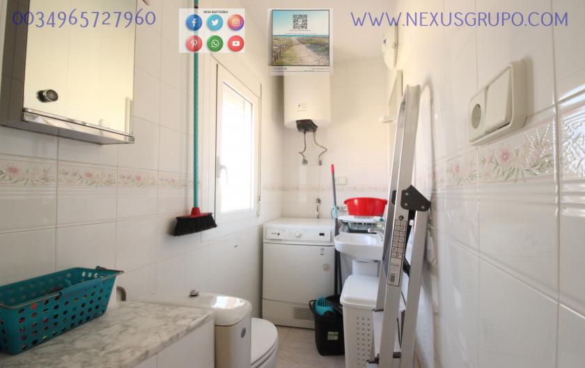 REAL ESTATE, GRUPO NEXUS, RENT APARTMENT FOR THE WHOLE YEAR, IN CERVANTES AVENUE, GUARDAMAR DEL SEGURA. in Nexus Grupo