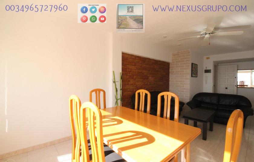 REAL ESTATE, GRUPO NEXUS, RENT APARTMENT FOR THE WHOLE YEAR, IN CERVANTES AVENUE, GUARDAMAR DEL SEGURA. in Nexus Grupo