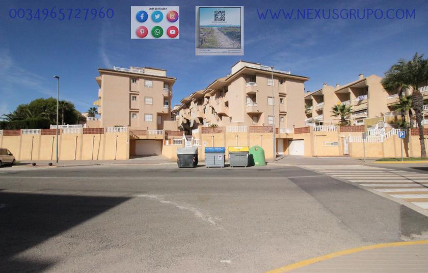 REAL ESTATE, GRUPO NEXUS, RENT APARTMENT FOR THE WHOLE YEAR, IN CERVANTES AVENUE, GUARDAMAR DEL SEGURA. in Nexus Grupo