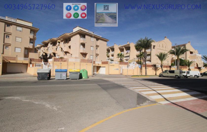 REAL ESTATE, GRUPO NEXUS, RENT APARTMENT FOR THE WHOLE YEAR, IN CERVANTES AVENUE, GUARDAMAR DEL SEGURA. in Nexus Grupo