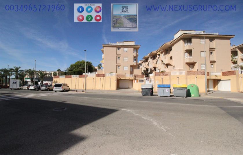 REAL ESTATE, GRUPO NEXUS, RENT APARTMENT FOR THE WHOLE YEAR, IN CERVANTES AVENUE, GUARDAMAR DEL SEGURA. in Nexus Grupo