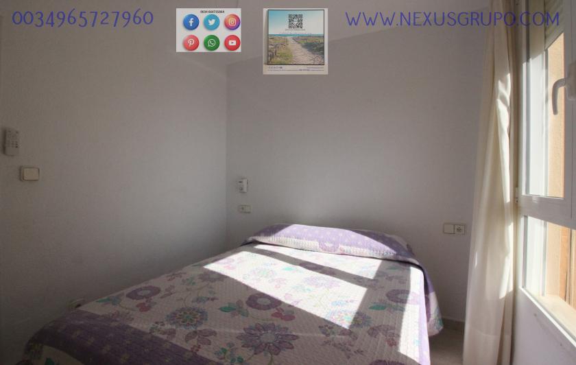 REAL ESTATE, GRUPO NEXUS, RENT APARTMENT FOR THE WHOLE YEAR, IN CERVANTES AVENUE, GUARDAMAR DEL SEGURA. in Nexus Grupo