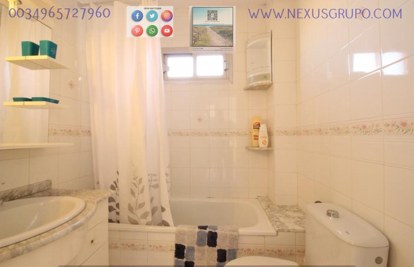 REAL ESTATE, GRUPO NEXUS, RENT APARTMENT FOR THE WHOLE YEAR, IN CERVANTES AVENUE, GUARDAMAR DEL SEGURA. in Nexus Grupo