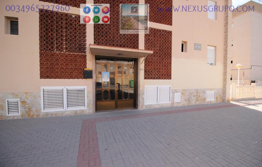 REAL ESTATE, GRUPO NEXUS, RENT APARTMENT FOR THE WHOLE YEAR, IN CERVANTES AVENUE, GUARDAMAR DEL SEGURA. in Nexus Grupo