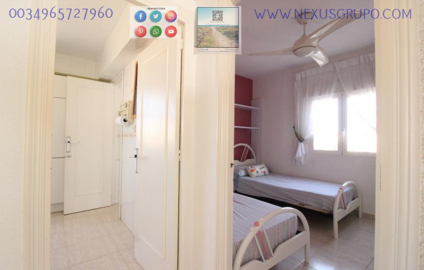 REAL ESTATE, GRUPO NEXUS, RENT APARTMENT FOR THE WHOLE YEAR, IN CERVANTES AVENUE, GUARDAMAR DEL SEGURA. in Nexus Grupo