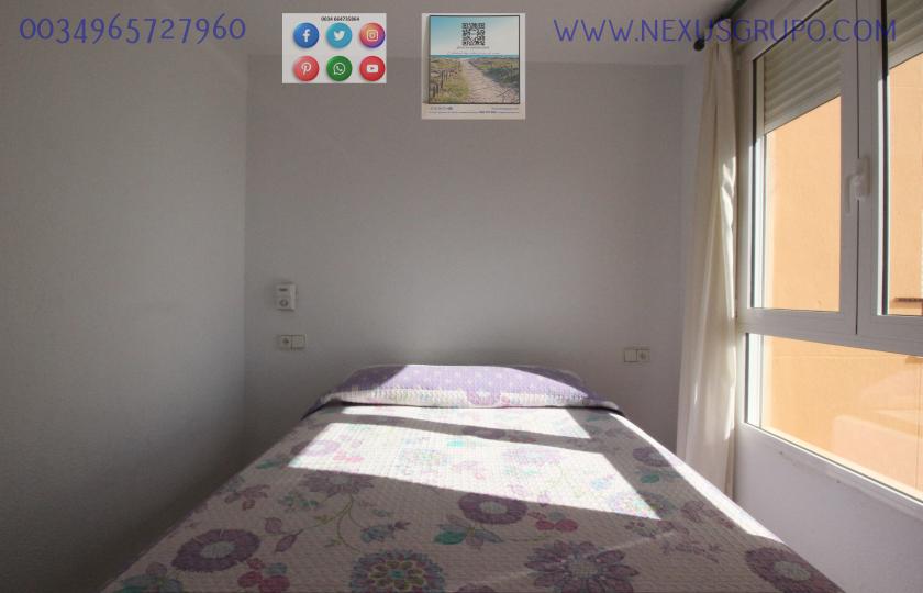 REAL ESTATE, GRUPO NEXUS, RENT APARTMENT FOR THE WHOLE YEAR, IN CERVANTES AVENUE, GUARDAMAR DEL SEGURA. in Nexus Grupo