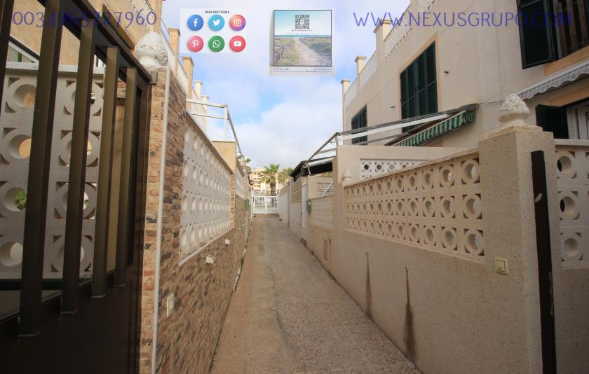 INMOBILIARIA, GRUPO NEXUS, ALQUILA CHALET ADOSADO PARA TODO EL AÑO, EN CALLE PUERTO RICO, GUARDAMAR DEL SEGURA in Nexus Grupo