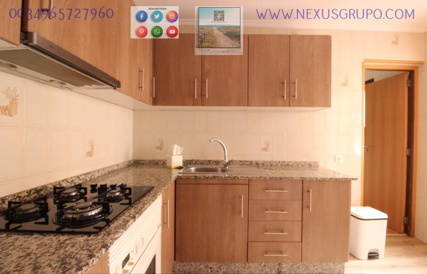 REAL ESTATE, GRUPO NEXUS, RENT A HOUSE ON THE GROUND FLOOR FOR THE WHOLE YEAR in Nexus Grupo