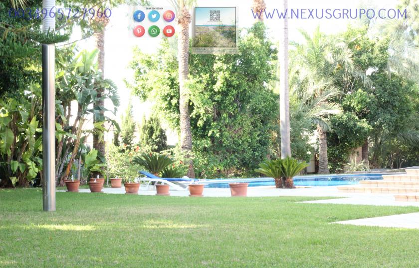 INMOBILIARIA, GRUPO NEXUS, VENDE VILLA DE LUJO EN MATOLA ELCHE in Nexus Grupo