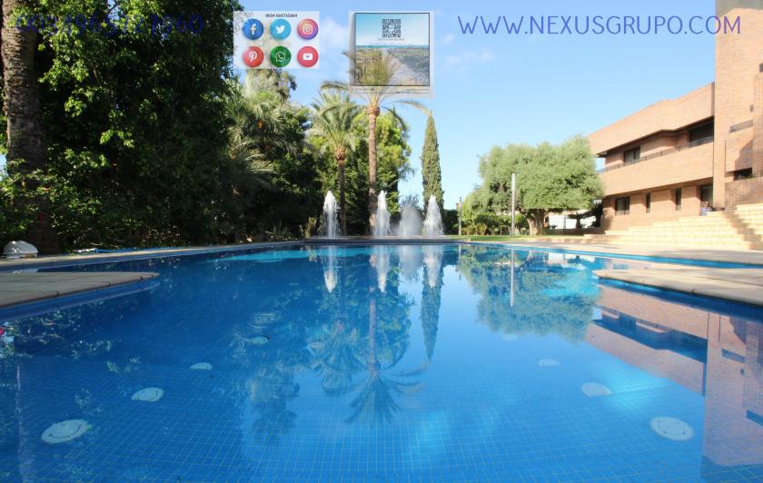 REAL ESTATE, GRUPO NEXUS, SELLS LUXURY VILLA IN MATOLA ELCHE in Nexus Grupo