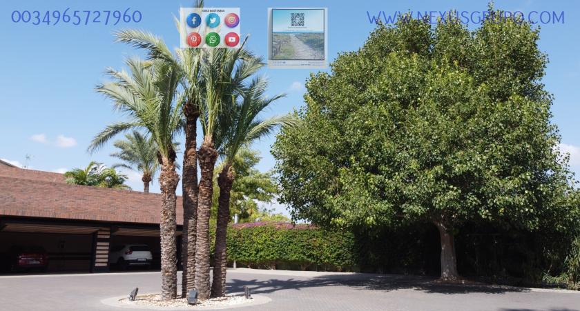 INMOBILIARIA, GRUPO NEXUS, VENDE VILLA DE LUJO EN MATOLA ELCHE in Nexus Grupo