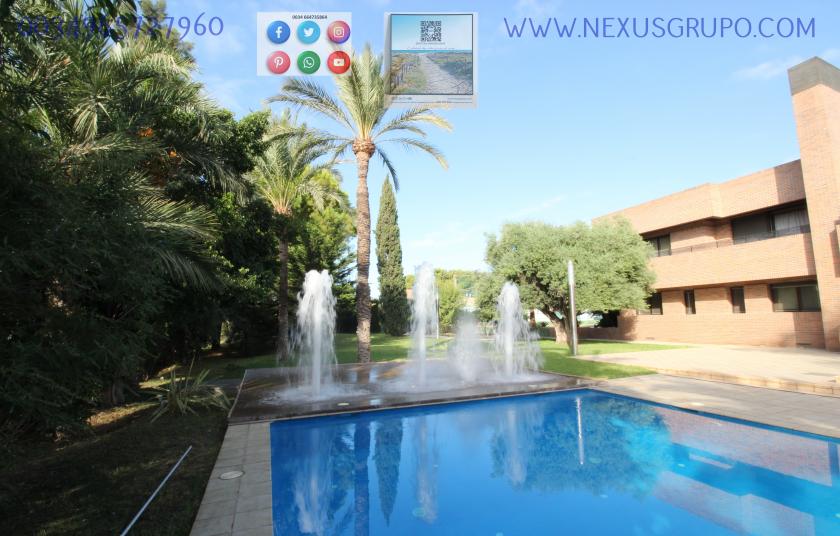 REAL ESTATE, GRUPO NEXUS, SELLS LUXURY VILLA IN MATOLA ELCHE in Nexus Grupo