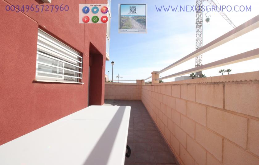 REAL ESTATE, GRUPO NEXUS, RENT GROUND FLOOR APARTMENT FOR 9 MONTHS, IN GUARDAMAR DEL SEGURA. in Nexus Grupo