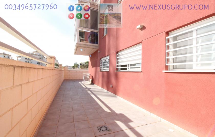 REAL ESTATE, GRUPO NEXUS, RENT GROUND FLOOR APARTMENT FOR 9 MONTHS, IN GUARDAMAR DEL SEGURA. in Nexus Grupo