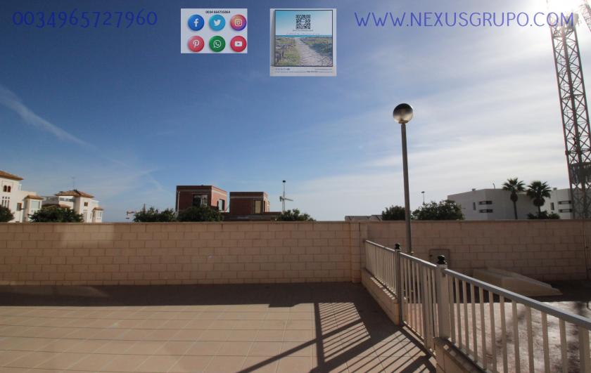 REAL ESTATE, GRUPO NEXUS, RENT GROUND FLOOR APARTMENT FOR 9 MONTHS, IN GUARDAMAR DEL SEGURA. in Nexus Grupo