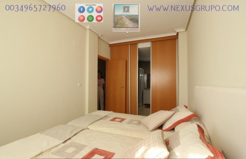 REAL ESTATE, GRUPO NEXUS, RENT GROUND FLOOR APARTMENT FOR 9 MONTHS, IN GUARDAMAR DEL SEGURA. in Nexus Grupo