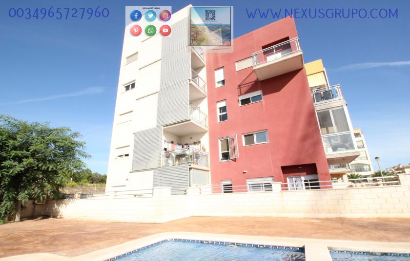 REAL ESTATE, GRUPO NEXUS, RENT GROUND FLOOR APARTMENT FOR 9 MONTHS, IN GUARDAMAR DEL SEGURA. in Nexus Grupo