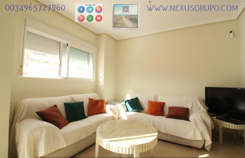 REAL ESTATE, GRUPO NEXUS, RENT GROUND FLOOR APARTMENT FOR 9 MONTHS, IN GUARDAMAR DEL SEGURA. in Nexus Grupo