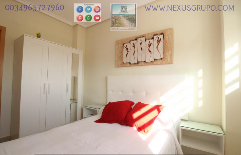 REAL ESTATE, GRUPO NEXUS, RENT GROUND FLOOR APARTMENT FOR 9 MONTHS, IN GUARDAMAR DEL SEGURA. in Nexus Grupo