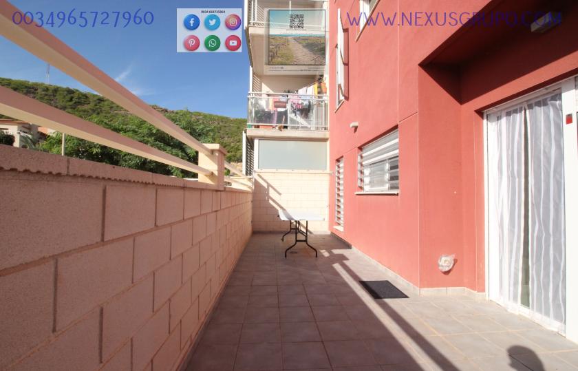 REAL ESTATE, GRUPO NEXUS, RENT GROUND FLOOR APARTMENT FOR 9 MONTHS, IN GUARDAMAR DEL SEGURA. in Nexus Grupo