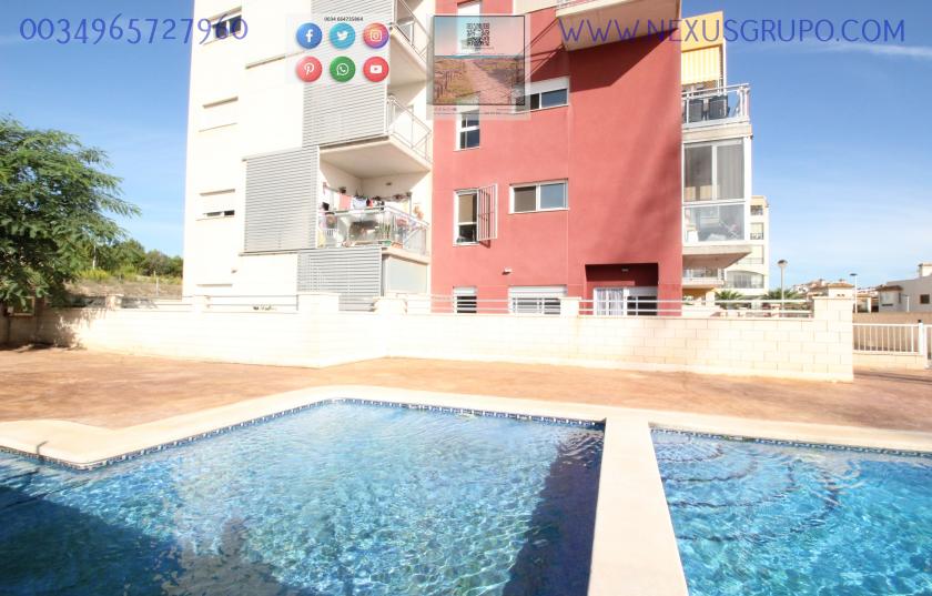 REAL ESTATE, GRUPO NEXUS, RENT GROUND FLOOR APARTMENT FOR 9 MONTHS, IN GUARDAMAR DEL SEGURA. in Nexus Grupo