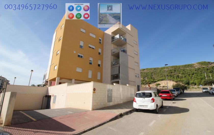 REAL ESTATE, GRUPO NEXUS, RENT GROUND FLOOR APARTMENT FOR 9 MONTHS, IN GUARDAMAR DEL SEGURA. in Nexus Grupo