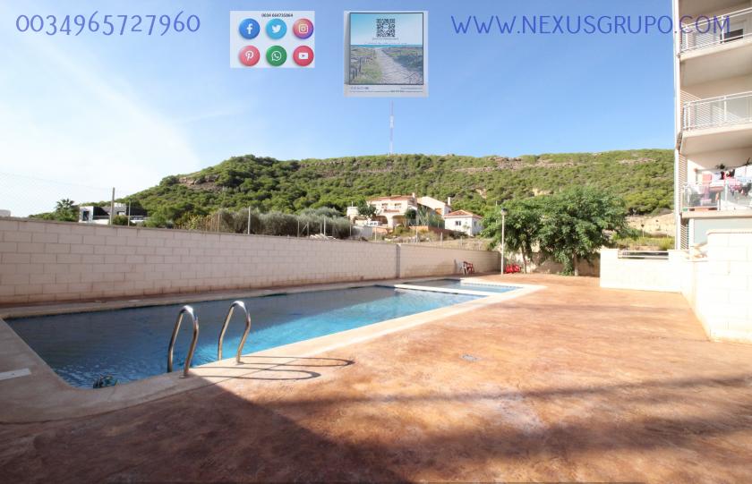 REAL ESTATE, GRUPO NEXUS, RENT GROUND FLOOR APARTMENT FOR 9 MONTHS, IN GUARDAMAR DEL SEGURA. in Nexus Grupo