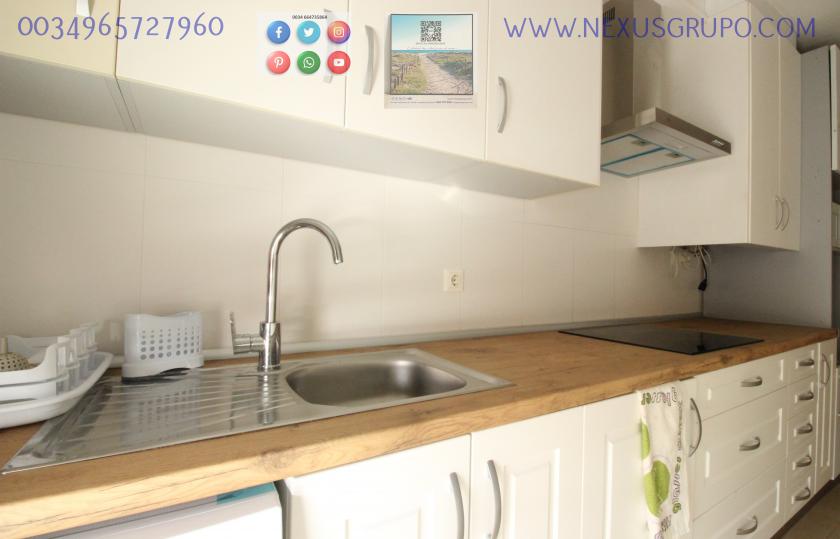 REAL ESTATE, GRUPO NEXUS, RENT GROUND FLOOR APARTMENT FOR 9 MONTHS, IN GUARDAMAR DEL SEGURA. in Nexus Grupo