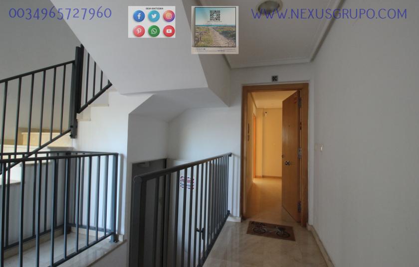 REAL ESTATE, GRUPO NEXUS, RENT GROUND FLOOR APARTMENT FOR 9 MONTHS, IN GUARDAMAR DEL SEGURA. in Nexus Grupo