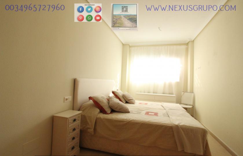 REAL ESTATE, GRUPO NEXUS, RENT GROUND FLOOR APARTMENT FOR 9 MONTHS, IN GUARDAMAR DEL SEGURA. in Nexus Grupo