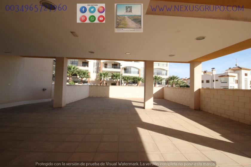 REAL ESTATE, GRUPO NEXUS, RENT GROUND FLOOR APARTMENT FOR 9 MONTHS, IN GUARDAMAR DEL SEGURA. in Nexus Grupo