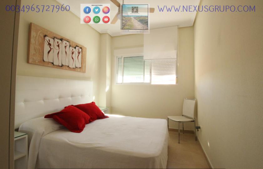 REAL ESTATE, GRUPO NEXUS, RENT GROUND FLOOR APARTMENT FOR 9 MONTHS, IN GUARDAMAR DEL SEGURA. in Nexus Grupo