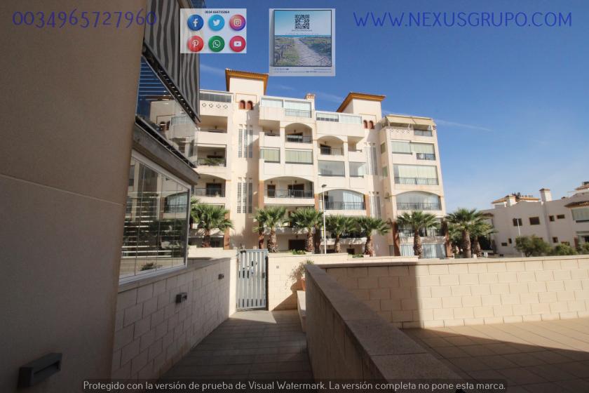 REAL ESTATE, GRUPO NEXUS, RENT GROUND FLOOR APARTMENT FOR 9 MONTHS, IN GUARDAMAR DEL SEGURA. in Nexus Grupo