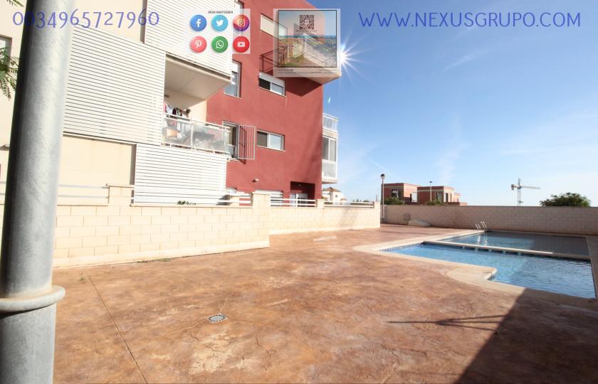 REAL ESTATE, GRUPO NEXUS, RENT GROUND FLOOR APARTMENT FOR 9 MONTHS, IN GUARDAMAR DEL SEGURA. in Nexus Grupo