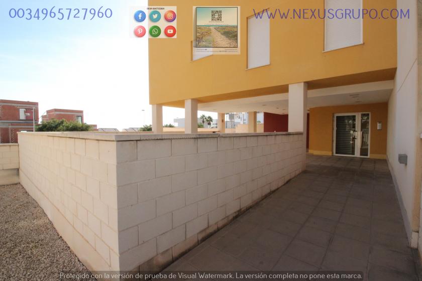 REAL ESTATE, GRUPO NEXUS, RENT GROUND FLOOR APARTMENT FOR 9 MONTHS, IN GUARDAMAR DEL SEGURA. in Nexus Grupo