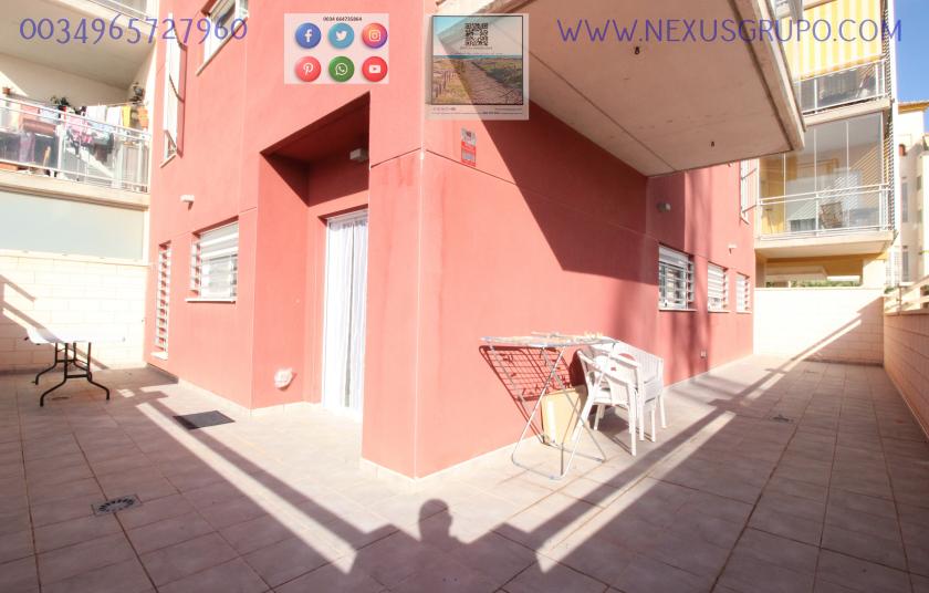 REAL ESTATE, GRUPO NEXUS, RENT GROUND FLOOR APARTMENT FOR 9 MONTHS, IN GUARDAMAR DEL SEGURA. in Nexus Grupo