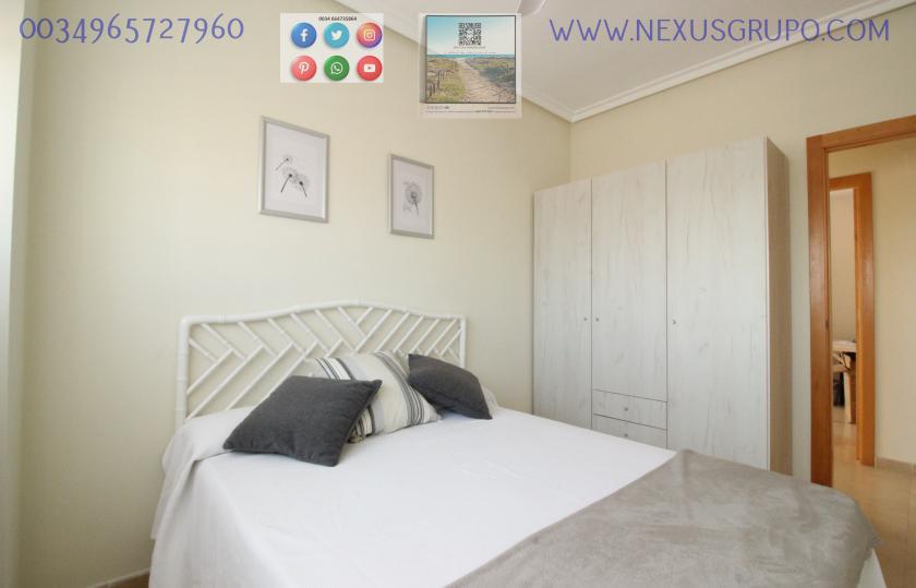 REAL ESTATE, GRUPO NEXUS, RENT GROUND FLOOR APARTMENT FOR 9 MONTHS, IN GUARDAMAR DEL SEGURA. in Nexus Grupo