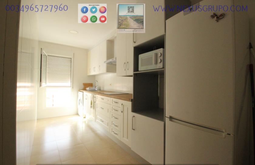 REAL ESTATE, GRUPO NEXUS, RENT GROUND FLOOR APARTMENT FOR 9 MONTHS, IN GUARDAMAR DEL SEGURA. in Nexus Grupo