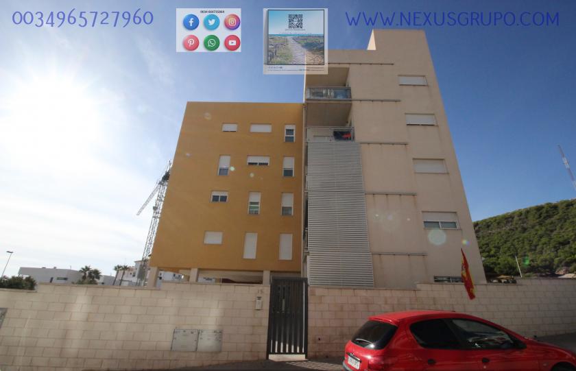 REAL ESTATE, GRUPO NEXUS, RENT GROUND FLOOR APARTMENT FOR 9 MONTHS, IN GUARDAMAR DEL SEGURA. in Nexus Grupo