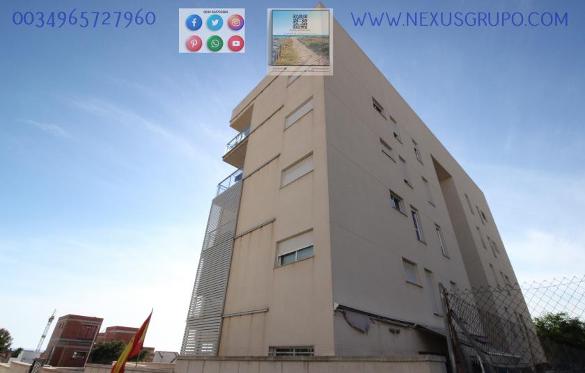 REAL ESTATE, GRUPO NEXUS, RENT GROUND FLOOR APARTMENT FOR 9 MONTHS, IN GUARDAMAR DEL SEGURA. in Nexus Grupo