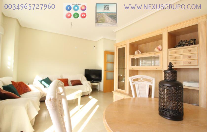 REAL ESTATE, GRUPO NEXUS, RENT GROUND FLOOR APARTMENT FOR 9 MONTHS, IN GUARDAMAR DEL SEGURA. in Nexus Grupo