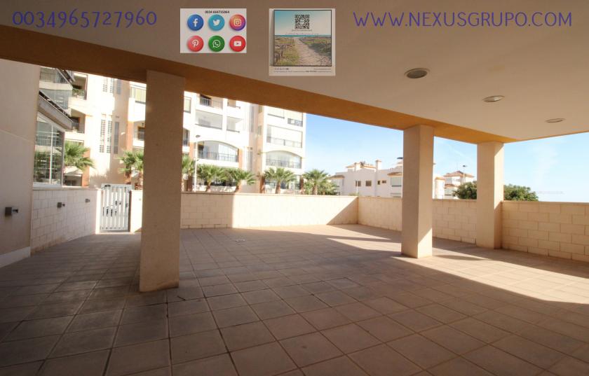 REAL ESTATE, GRUPO NEXUS, RENT GROUND FLOOR APARTMENT FOR 9 MONTHS, IN GUARDAMAR DEL SEGURA. in Nexus Grupo