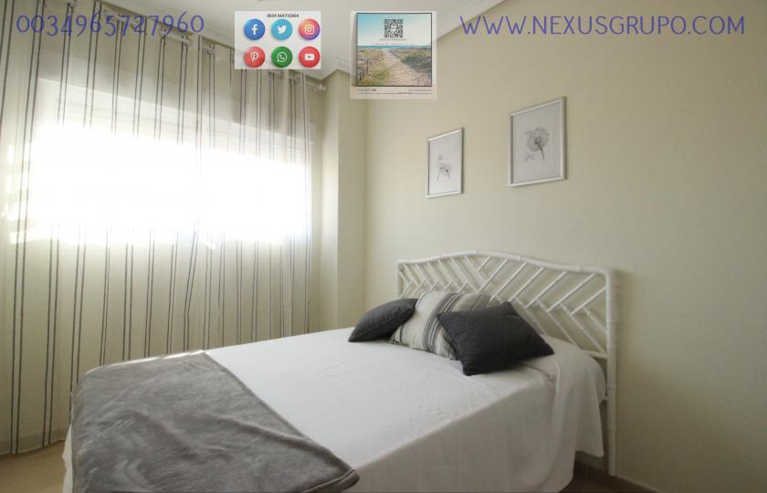 REAL ESTATE, GRUPO NEXUS, RENT GROUND FLOOR APARTMENT FOR 9 MONTHS, IN GUARDAMAR DEL SEGURA. in Nexus Grupo